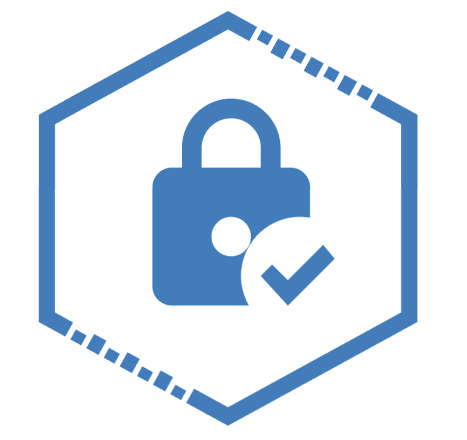 Secure Icon